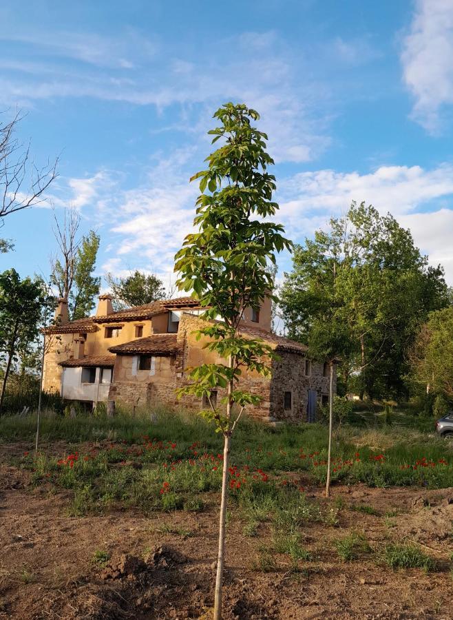 Гостевой дом Molino Del Buho Торре-ла-Карсель Экстерьер фото